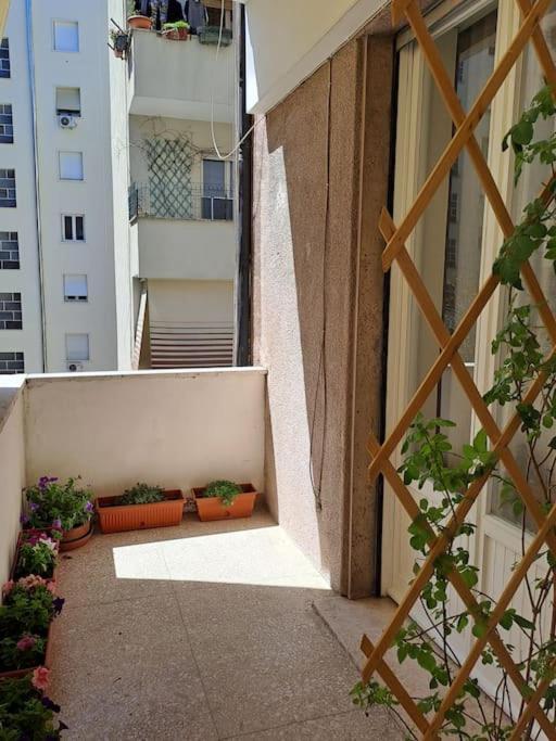 Appartement Casa Daisy Rome